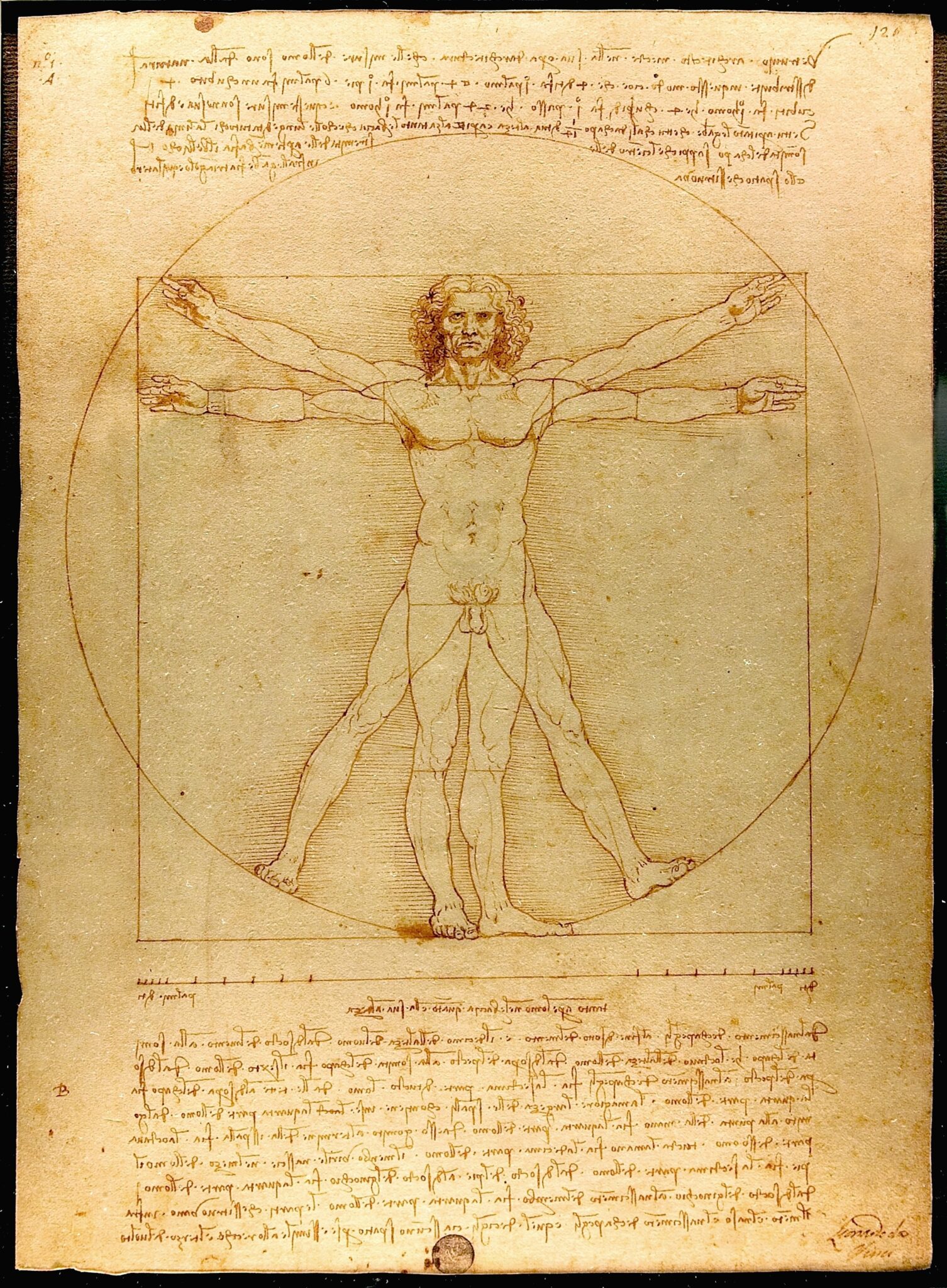 Renaissance (Epoche) - Literatur, Merkmale & Vertreter